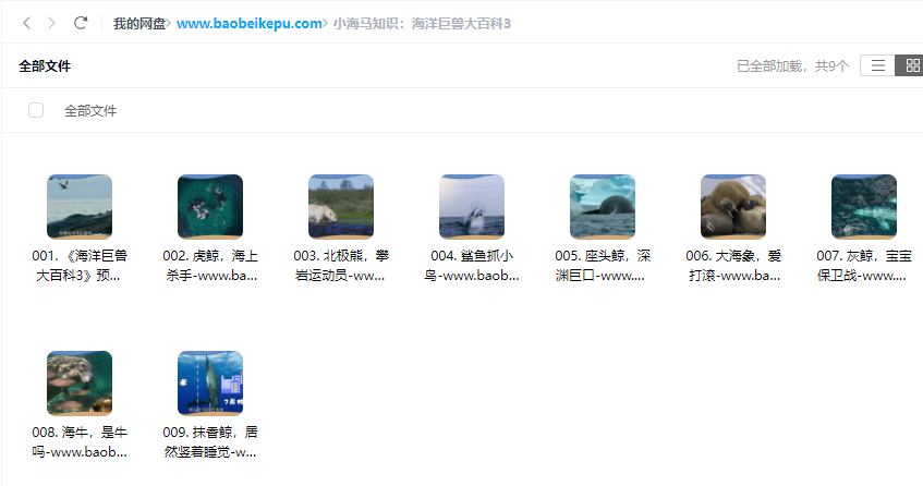 图片[2]-小海马知识：海洋巨兽大百科3【9集全】-宝贝科普