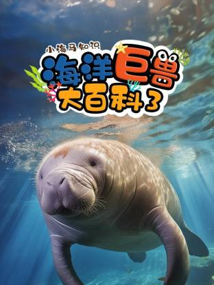 小海马知识：海洋巨兽大百科3【9集全】-宝贝科普
