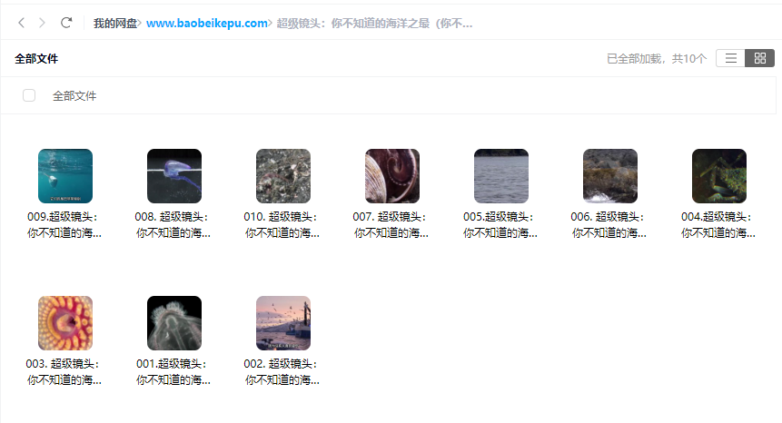 图片[2]-超级镜头：你不知道的海洋之最（你不知道的海洋生物）【10集全】-宝贝科普