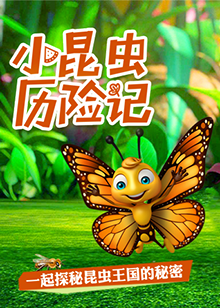 超学科星球：小昆虫，历险记【10集全】-宝贝科普