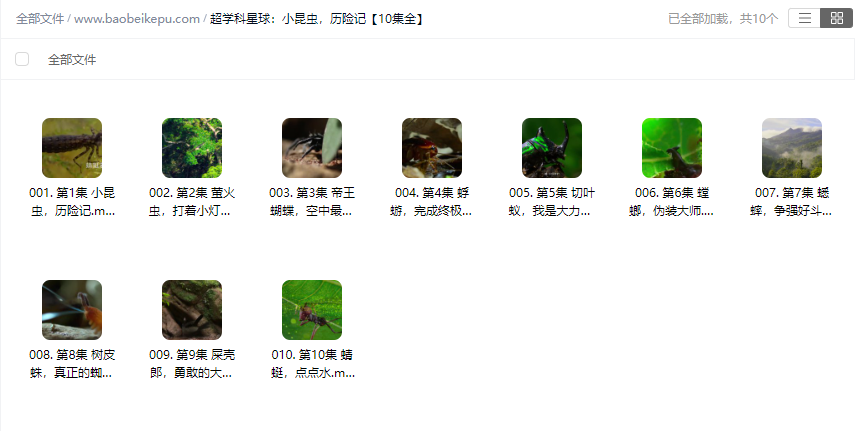 图片[2]-超学科星球：小昆虫，历险记【10集全】-宝贝科普
