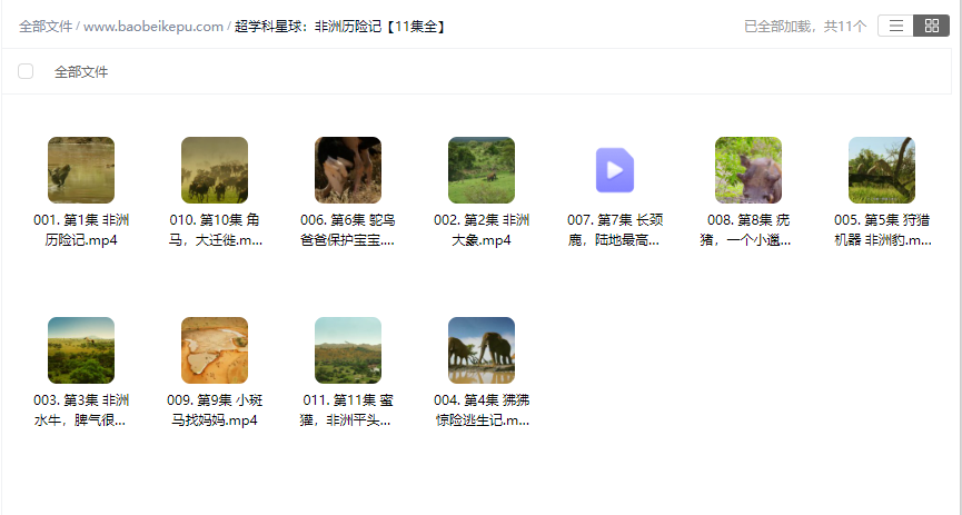 图片[2]-超学科星球：非洲历险记【11集全】-宝贝科普