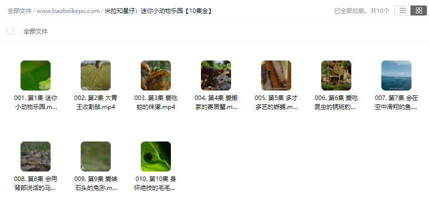 图片[2]-米拉和星仔：迷你小动物乐园【10集全】-宝贝科普