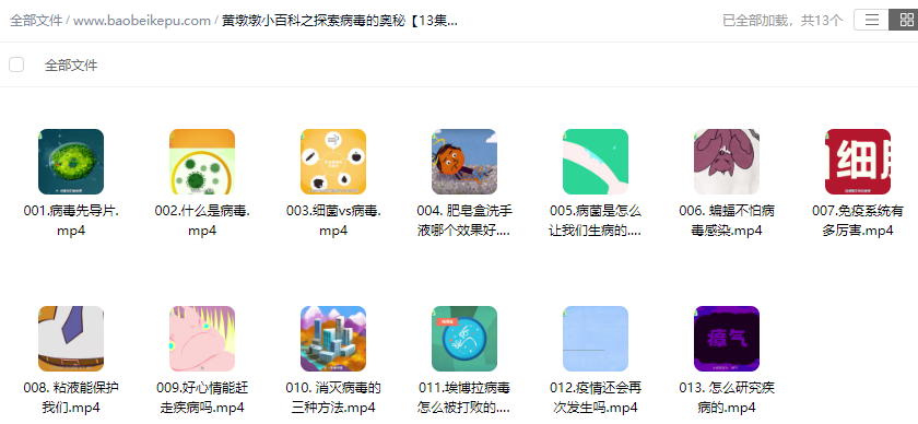 图片[2]-黄墩墩小百科之探索病毒的奥秘【13集全】-宝贝科普