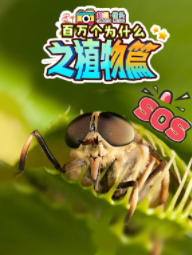 超级镜头：百万个为什么之植物篇【11集全】-宝贝科普