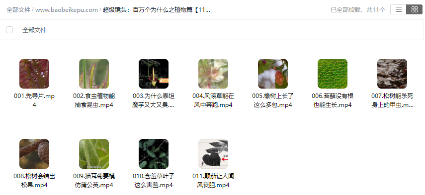 图片[2]-超级镜头：百万个为什么之植物篇【11集全】-宝贝科普