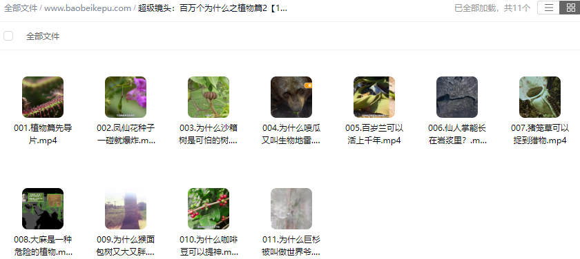 图片[2]-超级镜头：百万个为什么之植物篇2【11集全】-宝贝科普