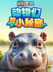 超级镜头：动物们的小秘密【9集全】-宝贝科普