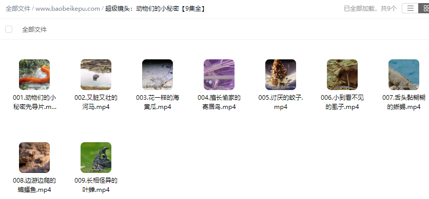 图片[2]-超级镜头：动物们的小秘密【9集全】-宝贝科普