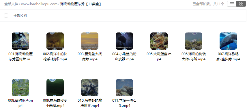 图片[2]-海底动物魔法秀【11集全】-宝贝科普