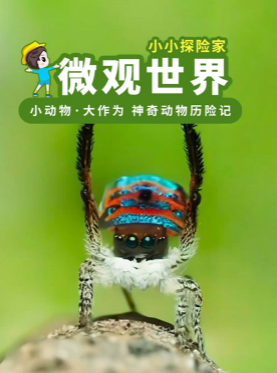 微观世界3-神奇动物历险记【10集全】-宝贝科普