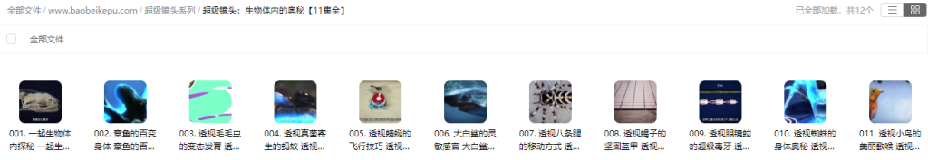 图片[2]-超级镜头：生物体内的奥秘【11集全】-宝贝科普