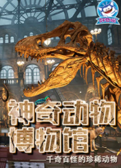 好奇喵：神奇动物博物馆一二【40集全】-宝贝科普