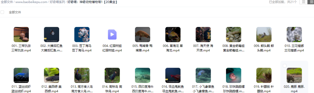 图片[2]-好奇喵：神奇动物博物馆一二【40集全】-宝贝科普