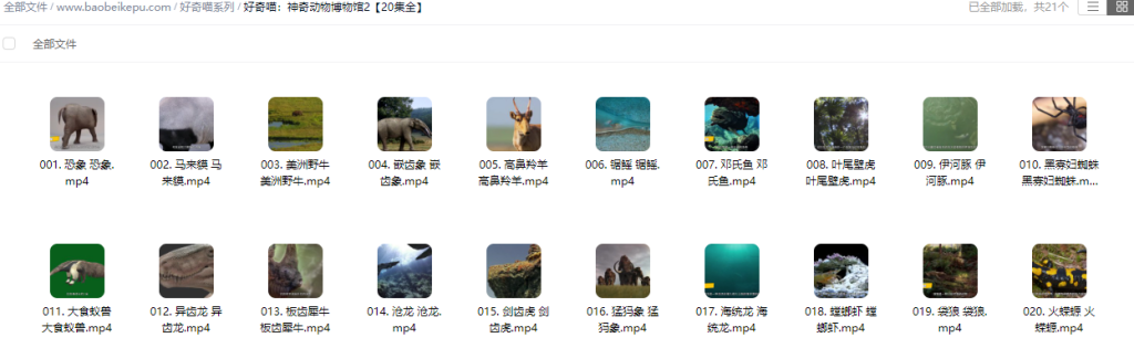 图片[3]-好奇喵：神奇动物博物馆一二【40集全】-宝贝科普