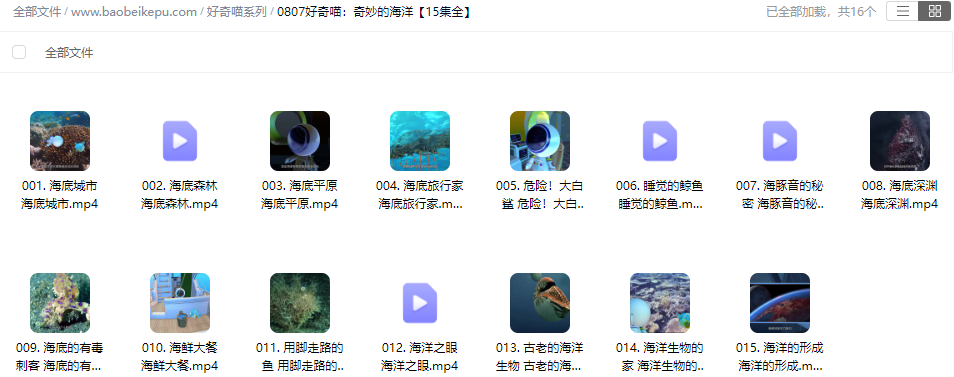图片[2]-好奇喵：奇妙的海洋【15集全】-宝贝科普