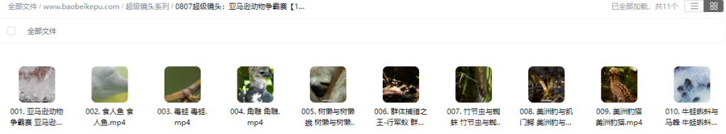 图片[2]-超级镜头：亚马逊动物争霸赛【10集全】-宝贝科普