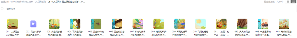 图片[2]-DK百科：昆虫界的生存能手【14集全】-宝贝科普