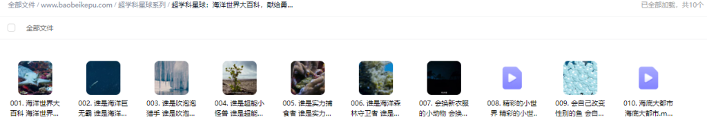 图片[2]-超学科星球：海洋世界大百科，献给勇敢的海洋小勇士，近距离接触海洋“霸主”【10集全】-宝贝科普