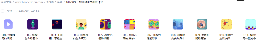 图片[2]-超级镜头：探索神奇的细胞【11集全】-宝贝科普