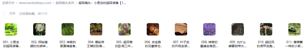 图片[2]-超级镜头：小昆虫的超级装备【11集全】-宝贝科普