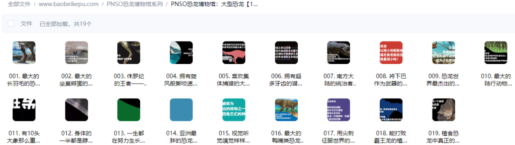 PNSO恐龙博物馆：大型恐龙（大型肉食恐龙和植食恐龙合集）【19集全】-宝贝科普